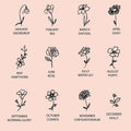 Birth Flower Birthstone Necklace - Camillaboutiqueco camillaboutiqueshop.com