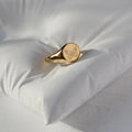 Gold Butterfly Signet Ring - Camillaboutiqueshop