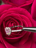 Sparkling Pink Bow Ring - Camillaboutiqueshop